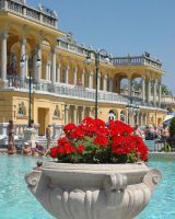 Budapest Szechenyi Thermal Baths 33